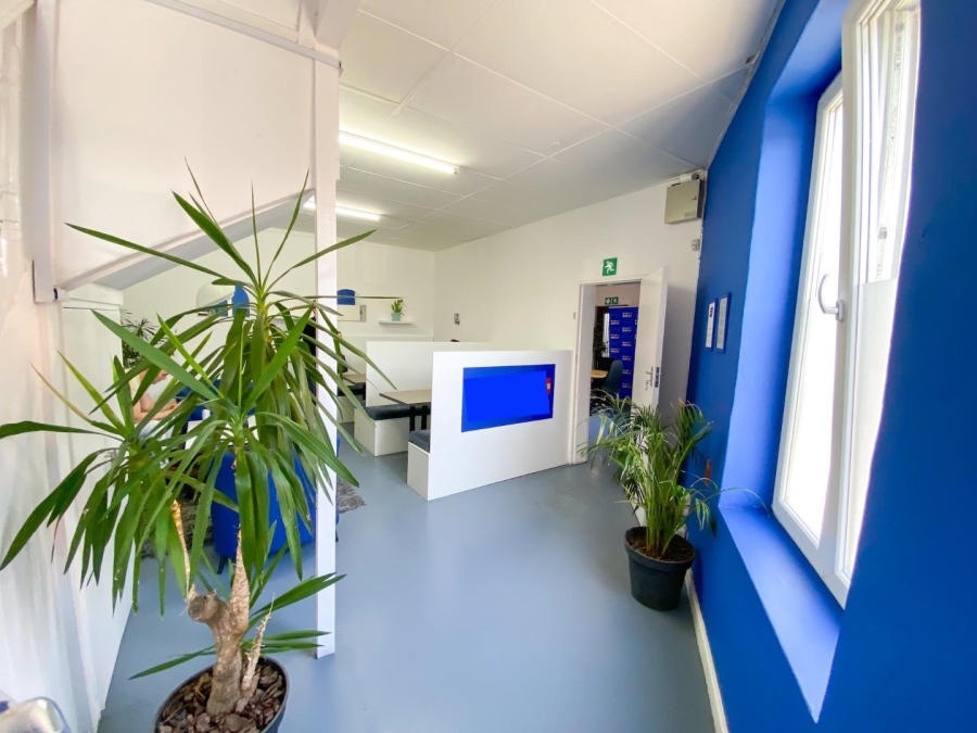 To Let commercial Property for Rent in Observatory Western Cape